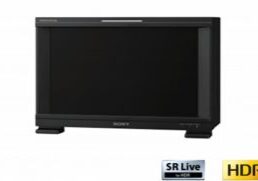 Sony BVM E171 17 inch HD Monitor